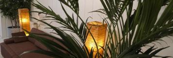                                       Raum und Design